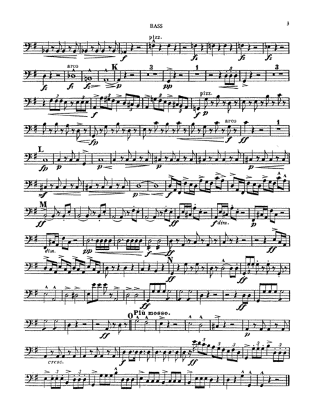 Quintet in G Major, Op. 77: String Bass