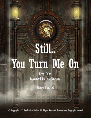 Book cover for Still You Turn Me On
