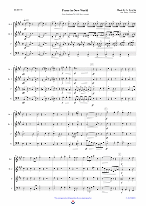 Book cover for Allegro con Fuoco (Dvořák - New World Symphony, 4th mov. excerpt)