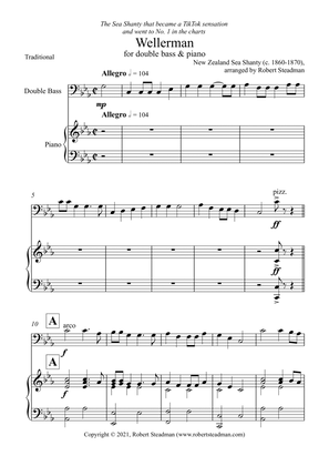 Wellerman (Double Bass & Piano)