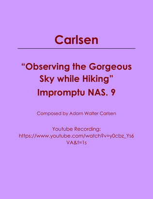 Observing the Gorgeous Sky while Hiking Impromptu NAS. 9