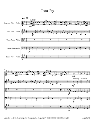 Jesu Joy by Bach for String Quartet in Schools