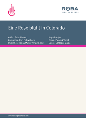 Eine Rose bluht in Colorado