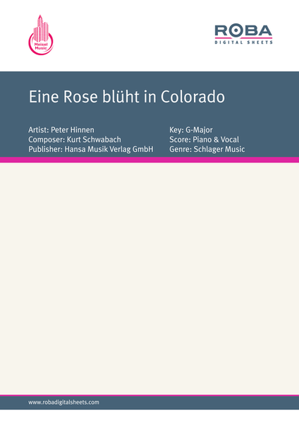 Eine Rose bluht in Colorado