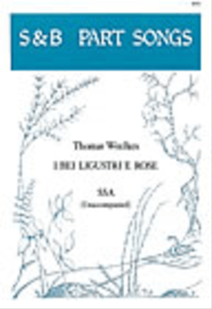I bei ligustri e rose SSA scores gallery preview page 1