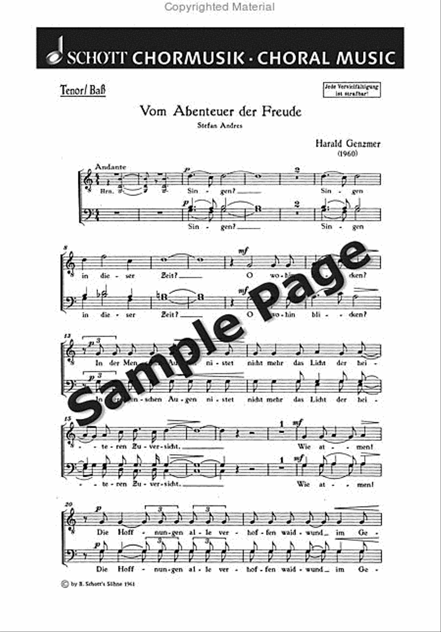 Vom Abenteuer Der Freude Score SSATBB scores gallery preview page 2
