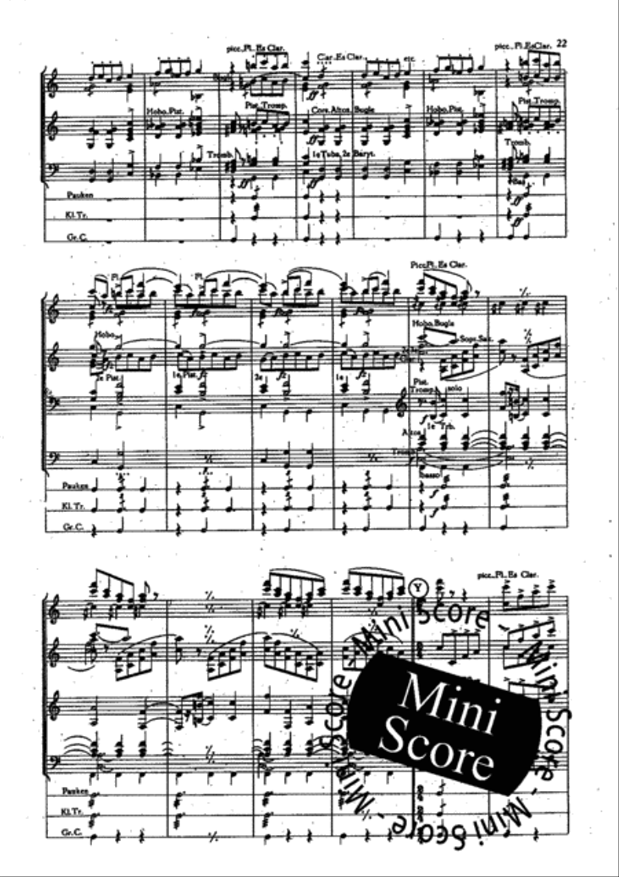 Fete Polonaise Concert Band scores gallery preview page 25