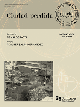 Book cover for Ciudad perdida