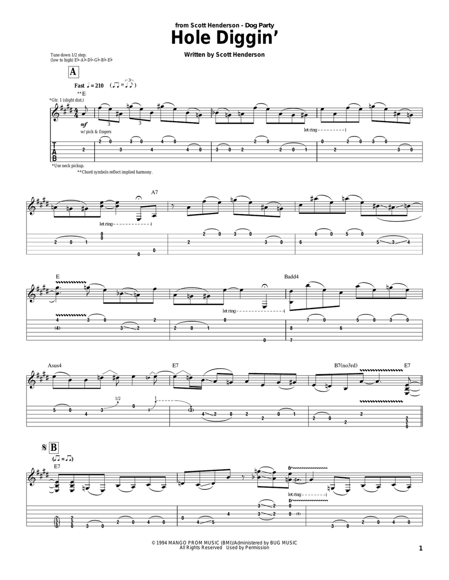 Hole Diggin' Acoustic Guitar scores gallery preview page 1