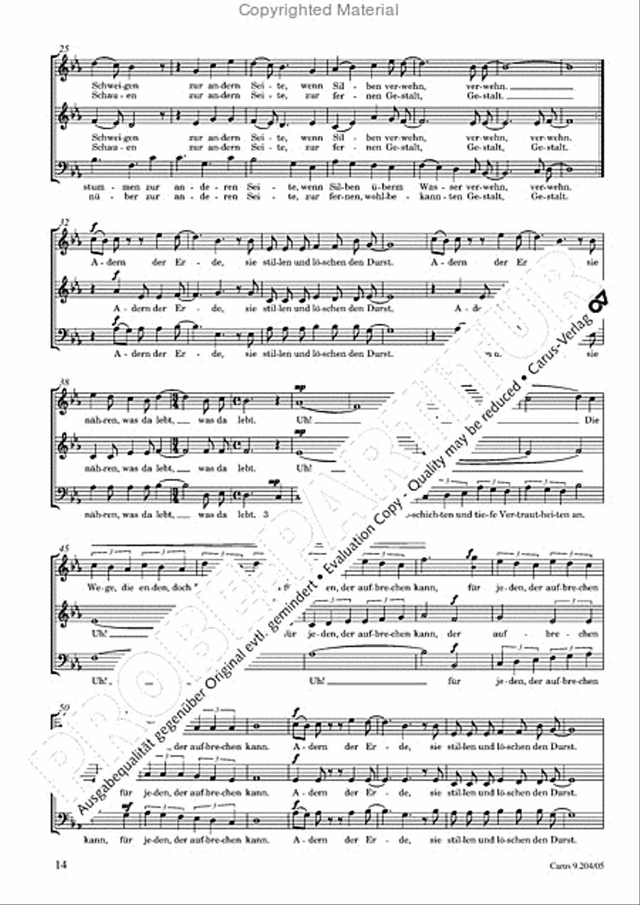 Flusse wie du 3-Part scores gallery preview page 15