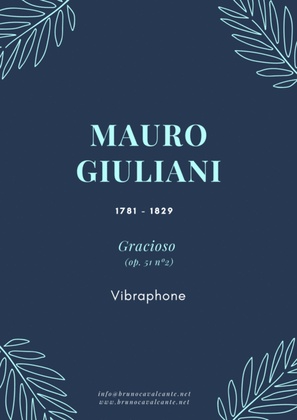 Gracioso Op 51 n2 (Mauro Giuliani) for Vibraphone