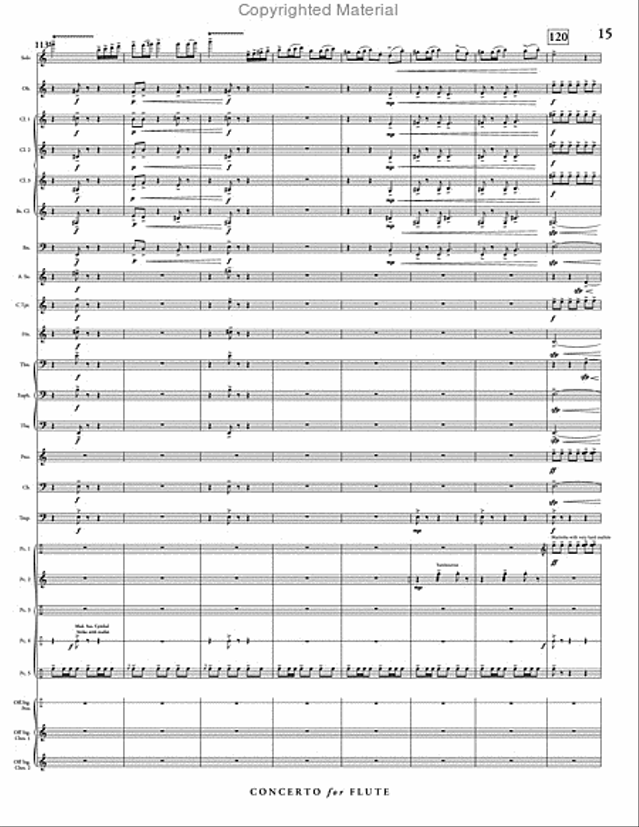 Concerto for Flute & Wind Ensemble Concert Band scores gallery preview page 16