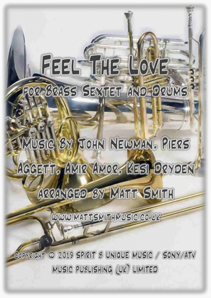 Book cover for Feel The Love