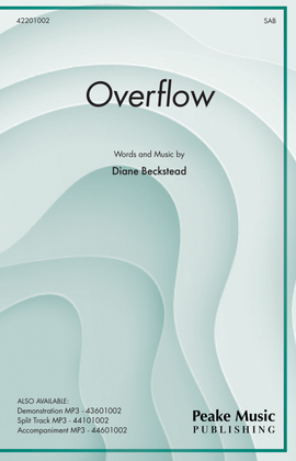 Book cover for Overflow