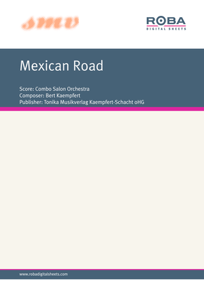 Book cover for Mexican Road