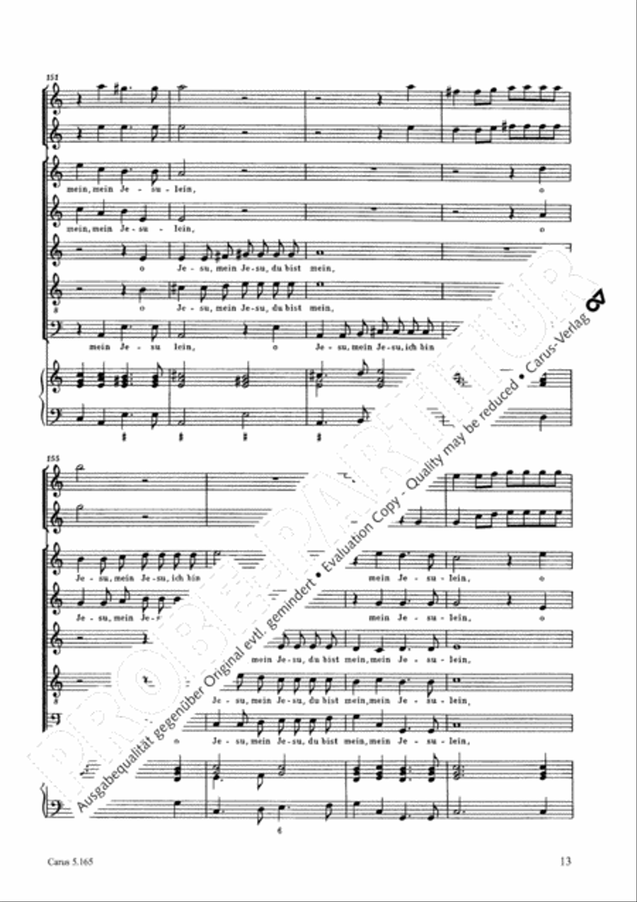 Where is the newborn King (Wo ist der neugeborne Konig) SSATB scores gallery preview page 14