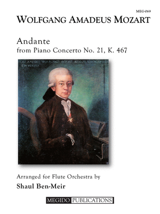 Book cover for Andante from Piano Concerto No. 21 for Flute Orchestra