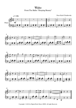 Waltz (Sleeping Beauty) - Peter Ilyich Tchaikovsky (Piano)