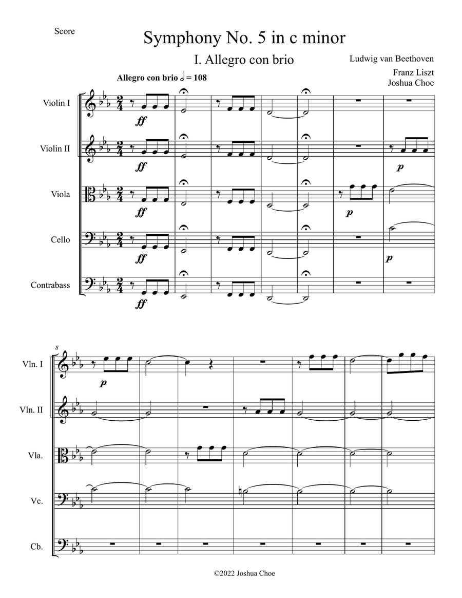 Symphony No. 5 in c minor, Movement 1 String Orchestra scores gallery preview page 1