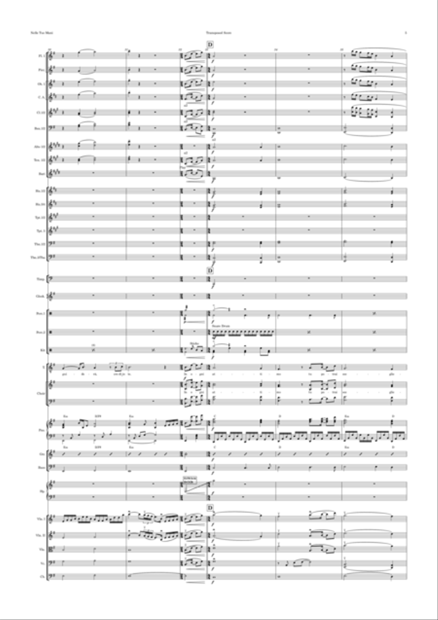 Nelle Tue Mani Full Orchestra scores gallery preview page 5