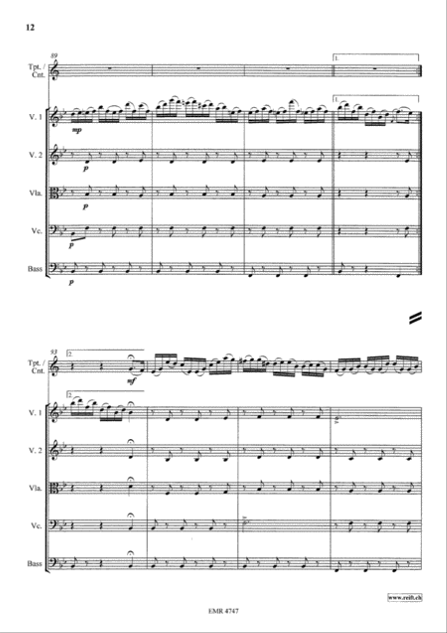 Variations On The Tyrolienne String Orchestra scores gallery preview page 12