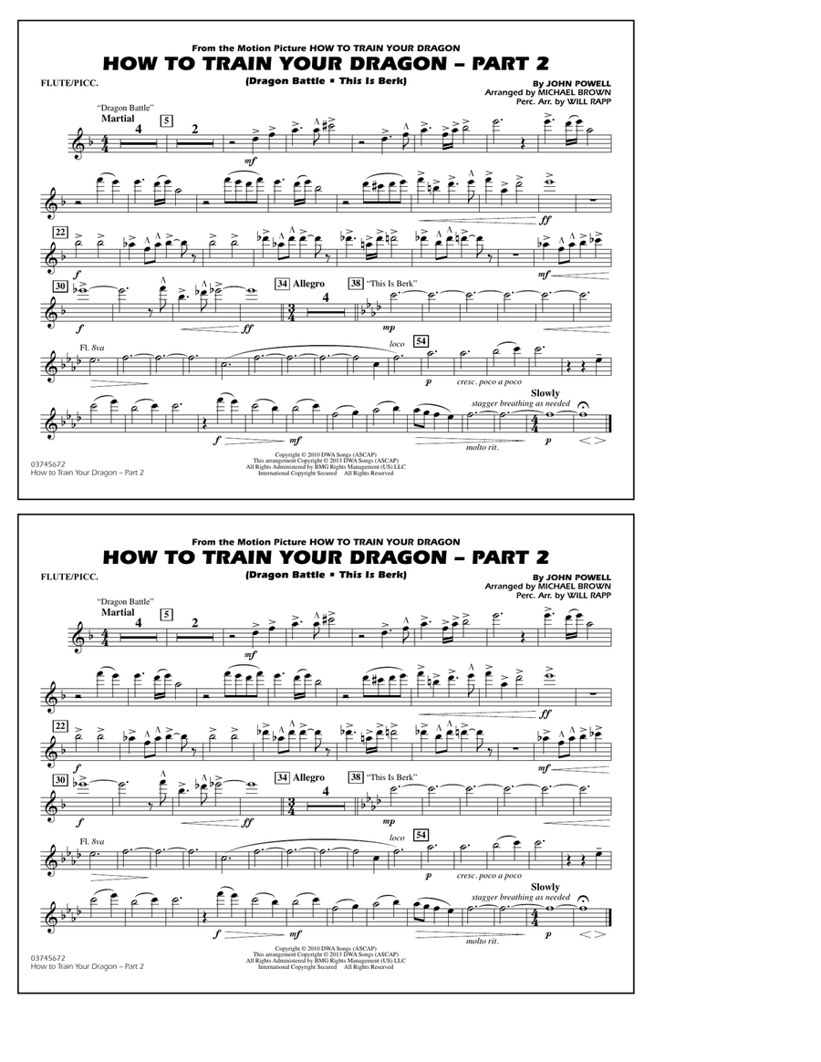 How To Train Your Dragon Part 2 - Flute/Piccolo Marching Band scores gallery preview page 1