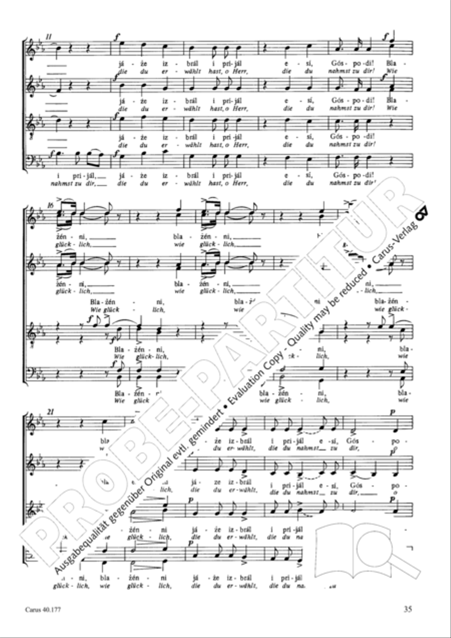 Neun liturgische Chore Collection / Songbook scores gallery preview page 36