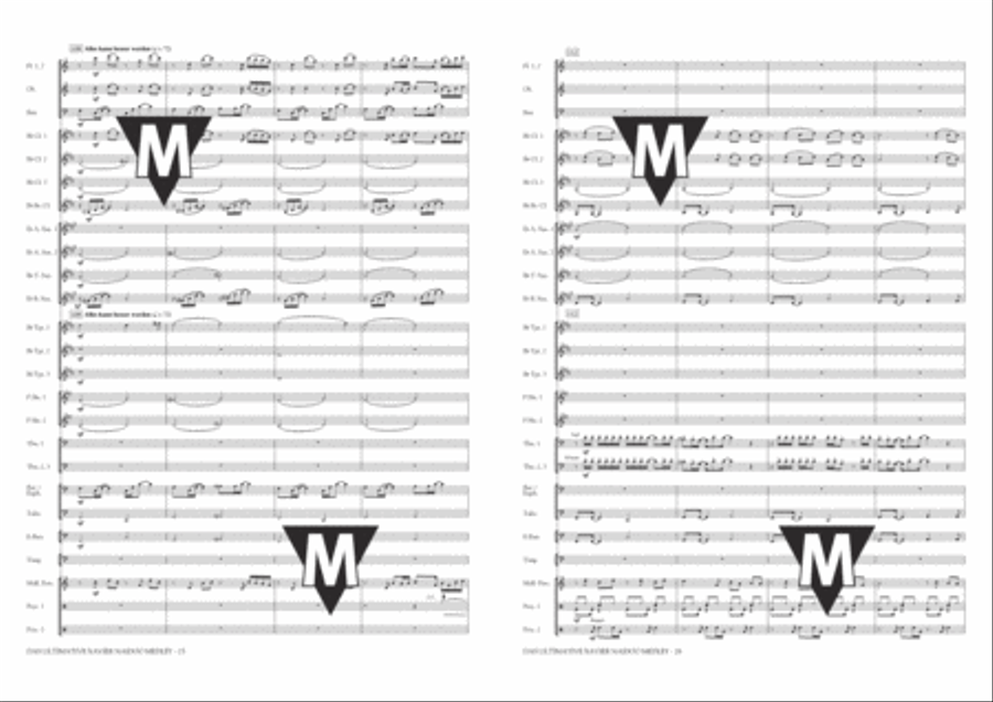 Das Ultimative Xavier Naidoo Medley Concert Band scores gallery preview page 14