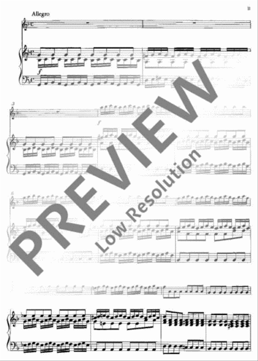 Concerto No. 2 G minor Flute scores gallery preview page 12
