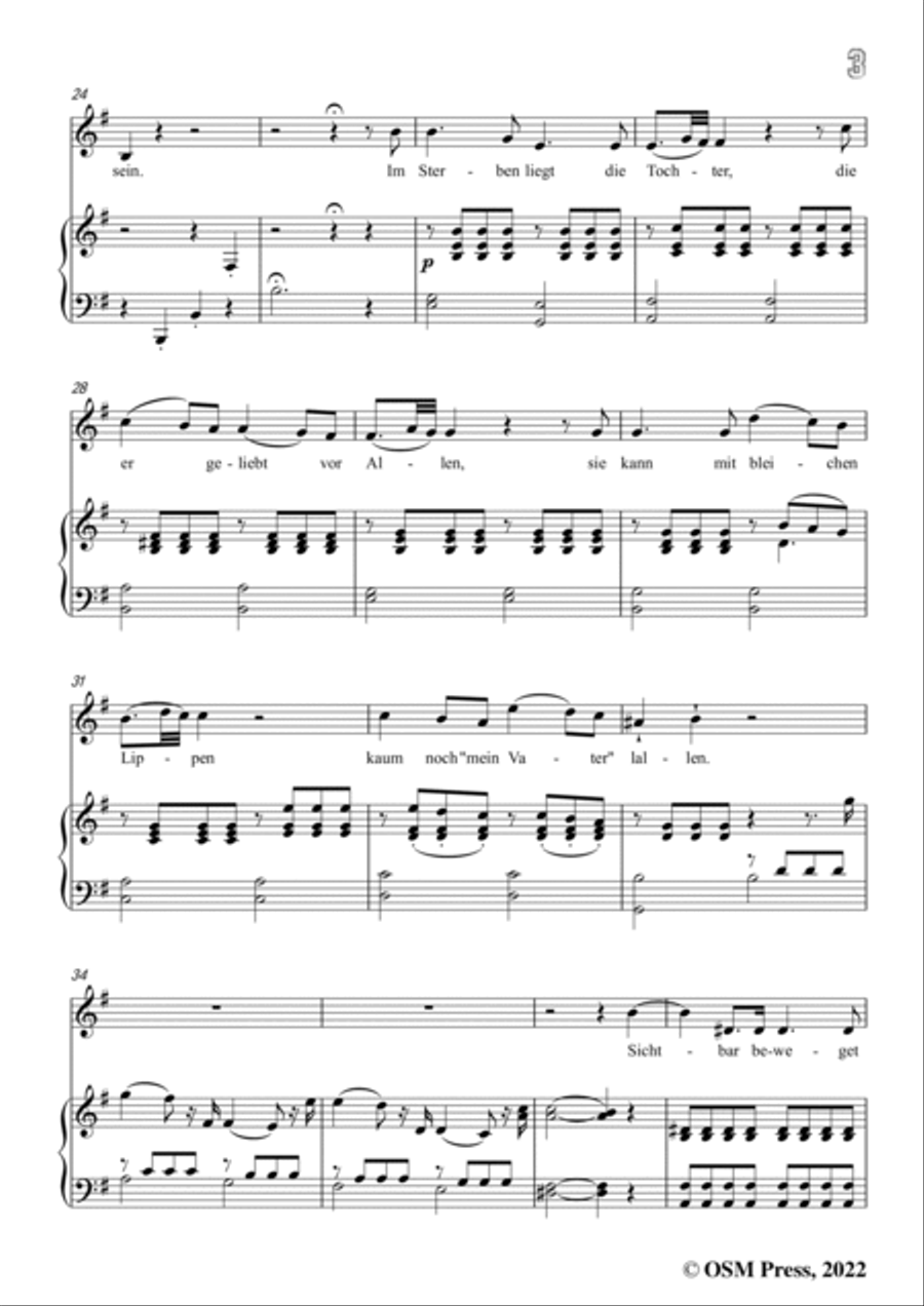 Loewe-Der selt'ne Beter,in e minor,Op.141,for Voice and Piano Voice Solo scores gallery preview page 5