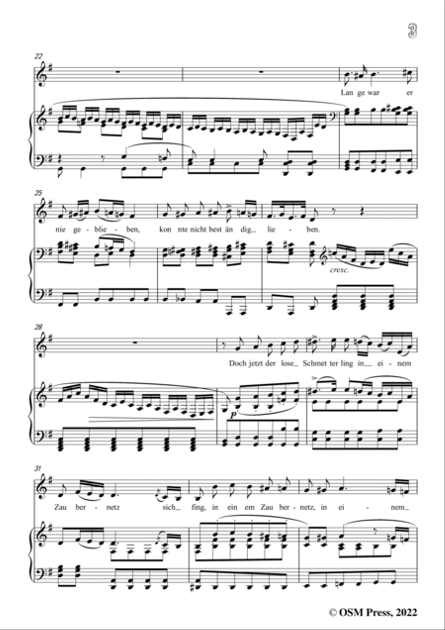 Loewe-Das Zaubernetz,in G Major,for Voice and Piano Voice Solo scores gallery preview page 5