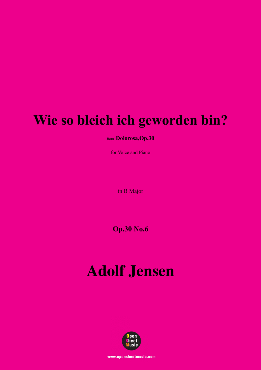 A. Jensen-Wie so bleich ich geworden bin?,Op.30 No.6,in B Major Voice scores gallery preview page 1