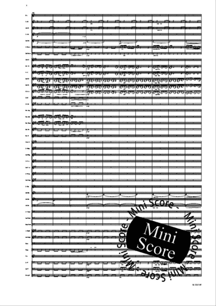 Ma Vlast Concert Band scores gallery preview page 20