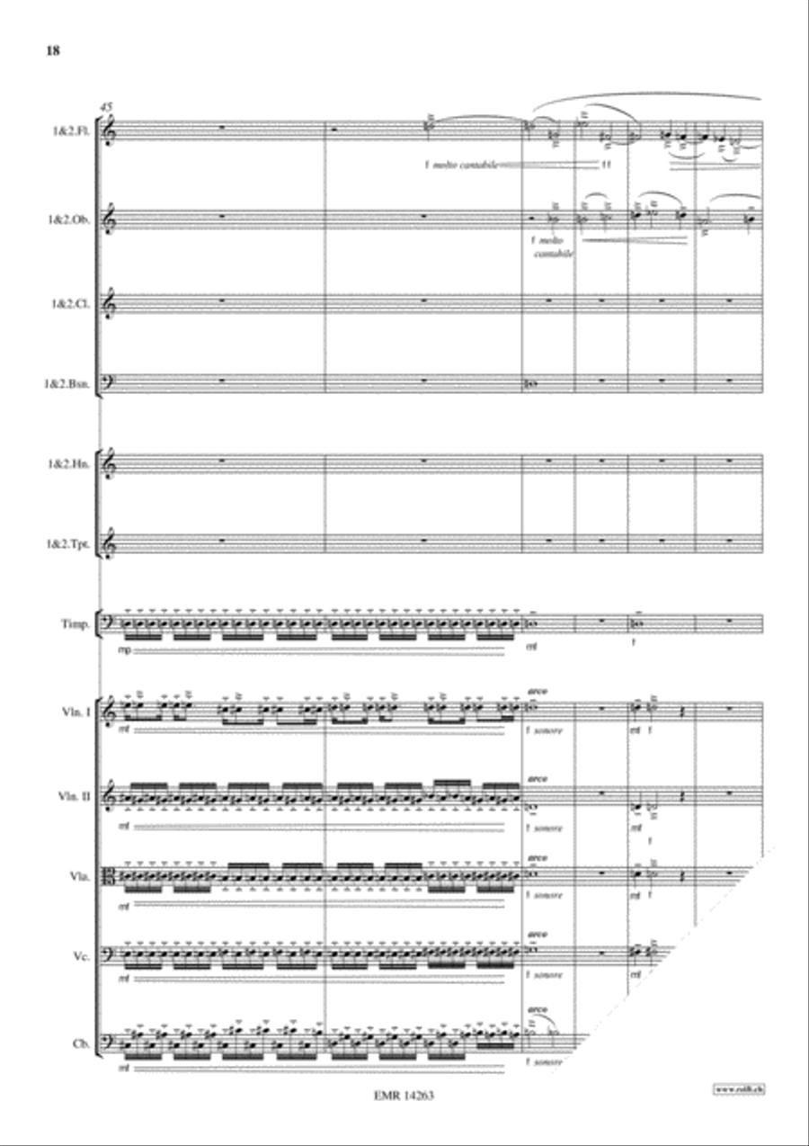 Sinfonietta Festive Sinfonietta Festive Orchestra scores gallery preview page 18