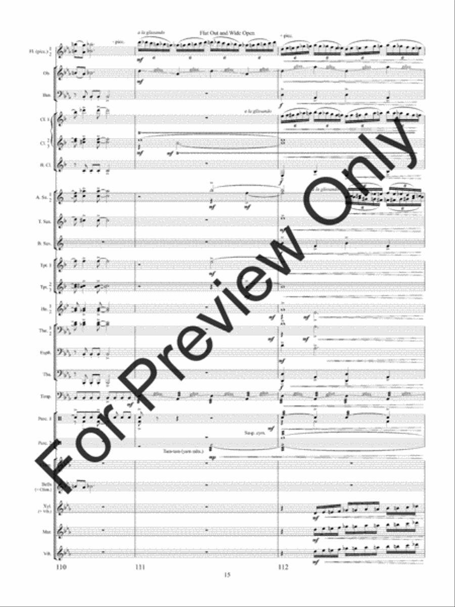 Flat Out and Wide Open Concert Band scores gallery preview page 18