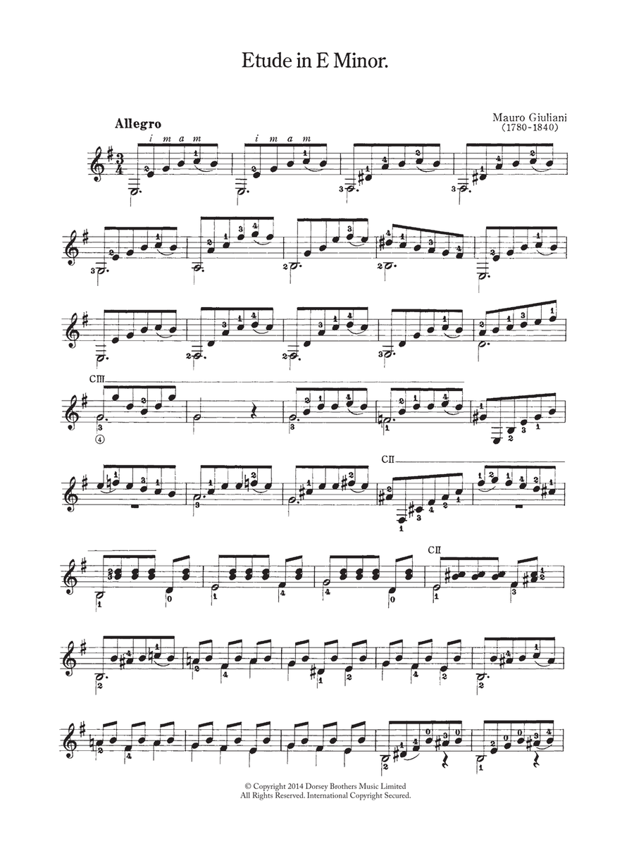 Etude In E Minor Etude In E Minor Acoustic Guitar scores gallery preview page 1