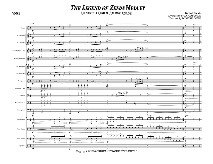 Book cover for Nintendo (Zelda)