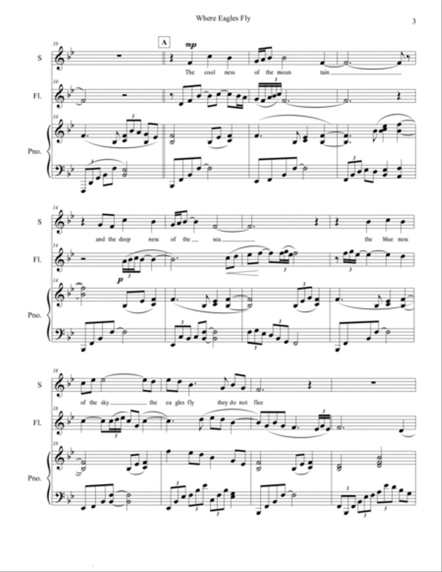 Where Eagles Fly Where Eagles Fly Small Ensemble scores gallery preview page 3