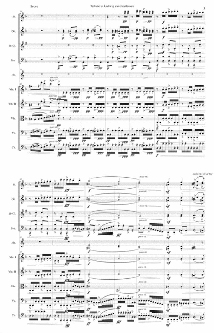 Tribute to Ludwig van Beethoven for chamber orchestra
