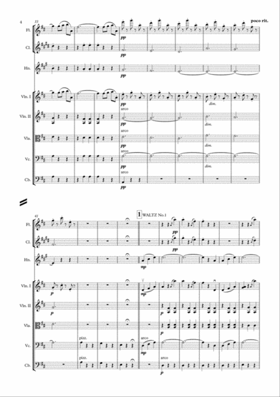 The Beautiful Blue Danube - Waltz - J.Strauss.Jr. Op.314 Chamber Orchestra scores gallery preview page 4