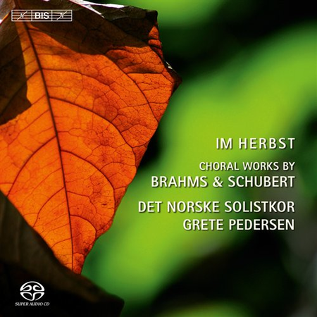 Im Herbst - Choral Works By Br image number null