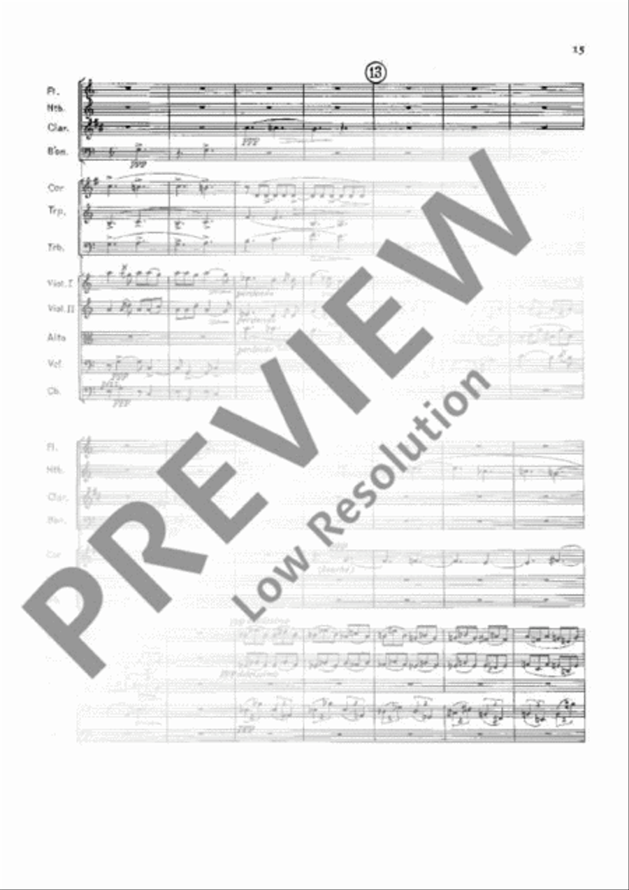 Sérénade Chamber Orchestra scores gallery preview page 16
