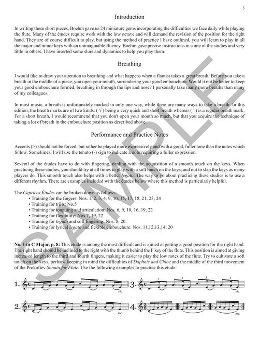 24 Caprices Etudes for Flute Flute Solo scores gallery preview page 5