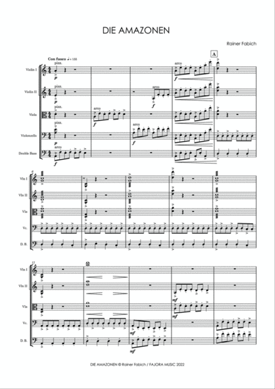 THE AMAZONS - Myth & Projection String Orchestra scores gallery preview page 6