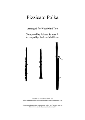 Pizzicato Polka arranged for Woodwind Trio