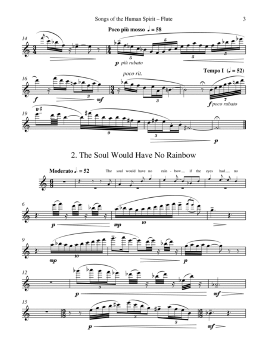 Songs of the Human Spirit (Flute part) Flute Solo scores gallery preview page 3