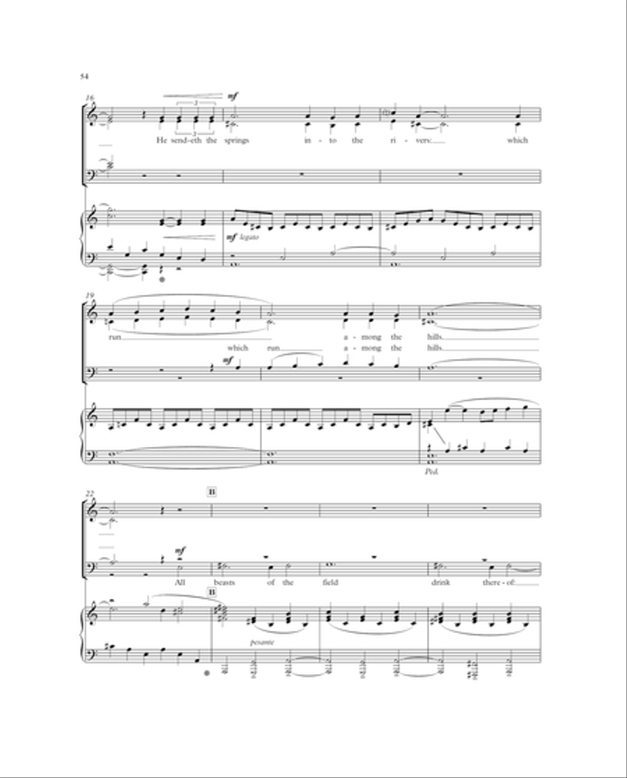 The Gift of Life The Gift of Life Double Choir scores gallery preview page 15