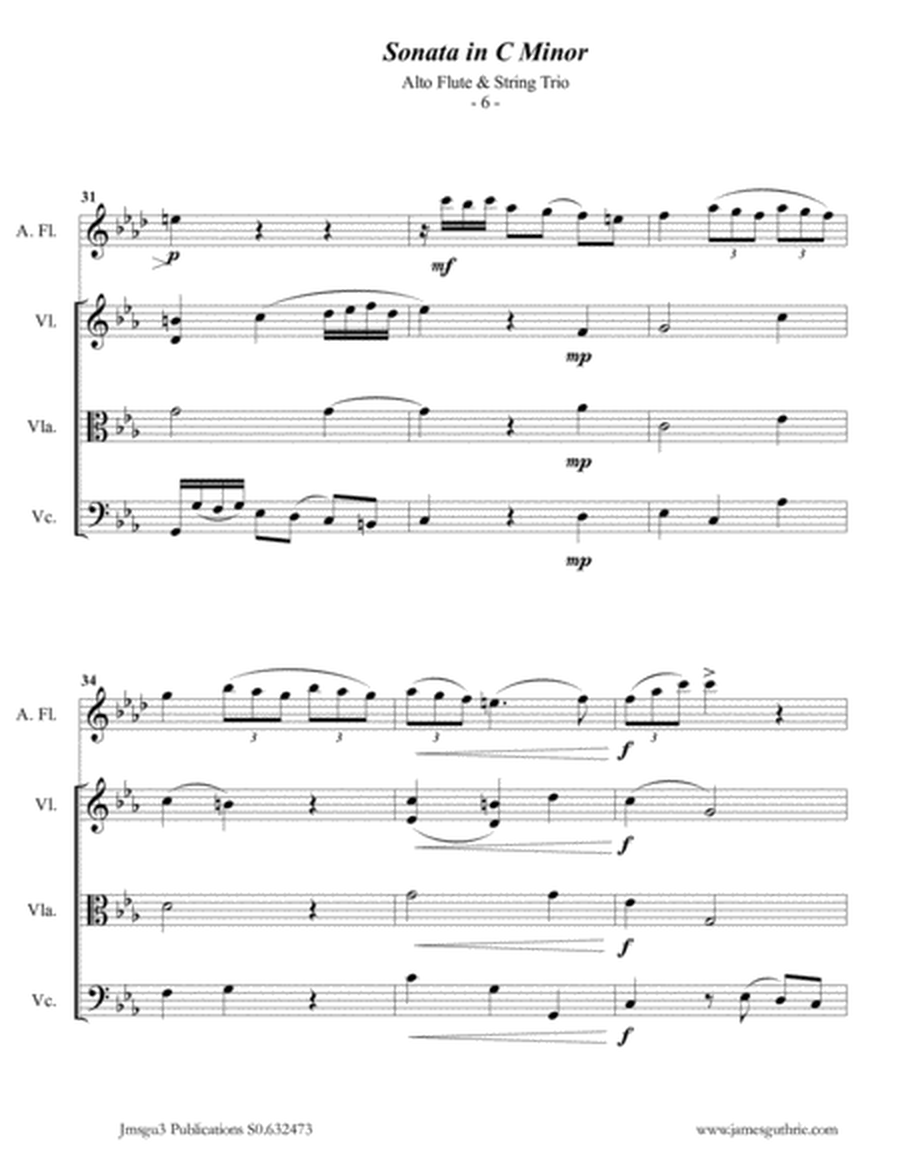 Telemann: Sonata in C Minor for Alto Flute & String Trio image number null
