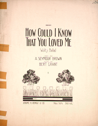 Book cover for How Could I Know That You Loved Me. Waltz Ballad