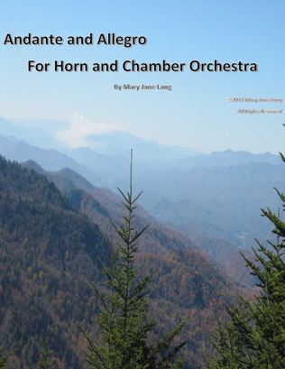 Book cover for Andante and Allegro for Horn and Chamber Orchestra